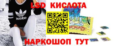 прущие грибы Гусев