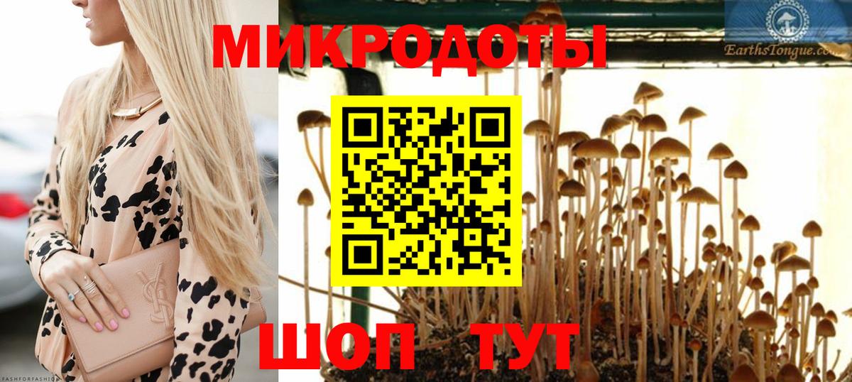 Галлюциногенные грибы прущие грибы  где найти наркотики  Новодвинск  Вход с VPN 